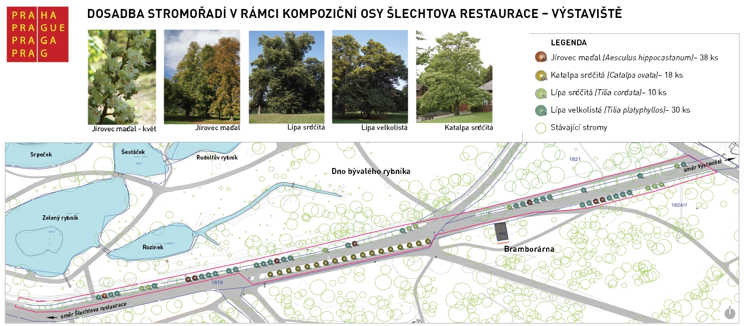 Dosadba stromořadí v rámci kompoziční osy Šlechtova rest-Výstaviště, ilustr.obr.