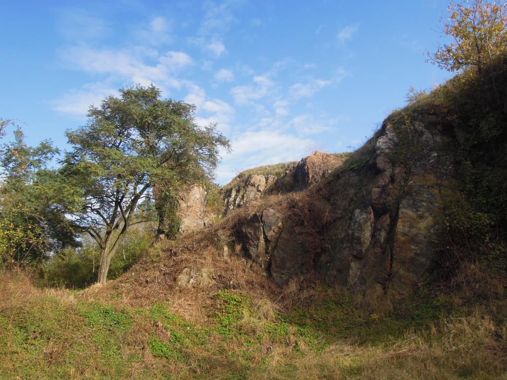 Přírodní památka Kněživka v Tuchoměřicích