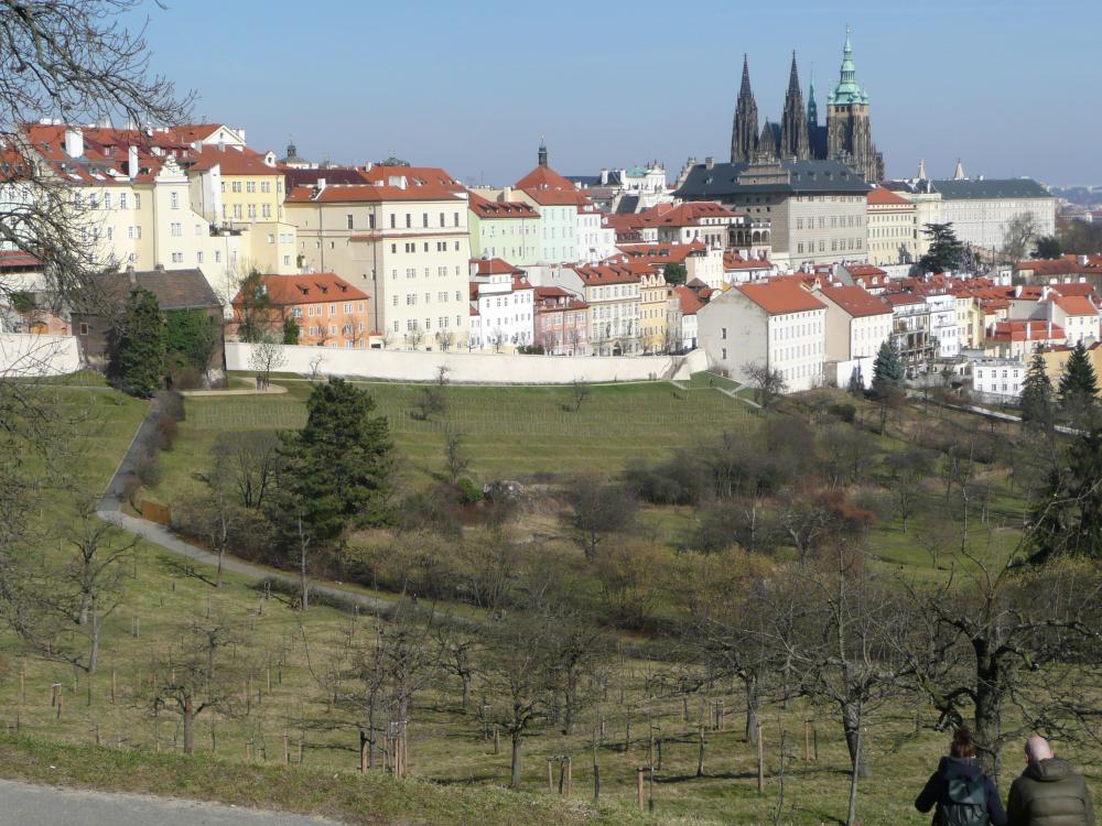 3006516_Revitalizace a zpřístupnění vinice ve Velké strahovské zahradě- zákres do fotografie