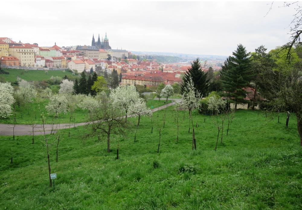 Zázemí zahradní údržby a veřejné WC – zákres do fotografie z vyhlídkové cesty