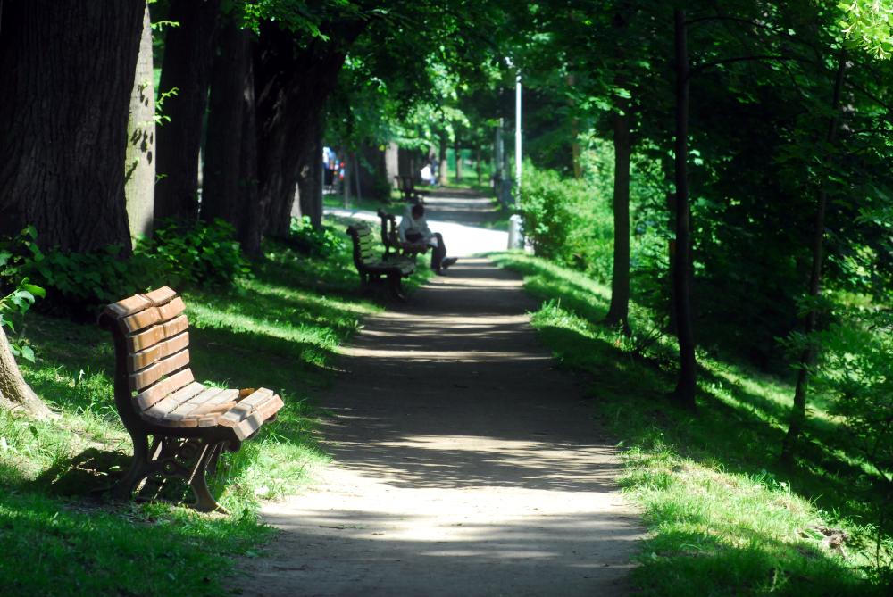 Lavičky podél jedné z hlavních cest ve Stromovce