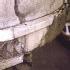 1009033_maiselova_17_praha_1_narusene_a_zvetrale