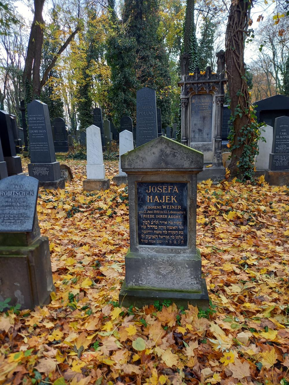 nový židovský hřbitov_po_10