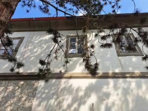 U Národní galerie_po_10
