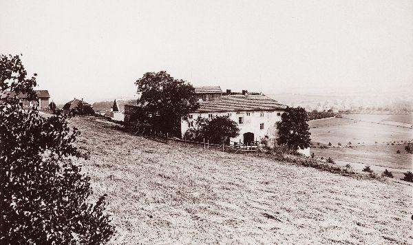 safranka_1928_jpg