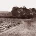 1011463_reitknechtka_1928b_jpg