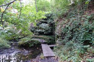 5_studánka_V_Oboře