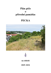 Plan-pece-PP-Pecka-2025-2034-plus-mapy