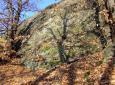 1711310_kremencove_vychozy_skalka_jpg