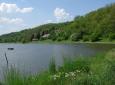 1723458_cihadla_aloisov_200805_od_kyjaku_800_jpg