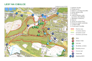 orientační mapa - lesy Na Cibulce, 2017