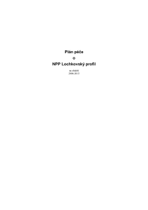 plan_pece_o_npp_lochkovsky_profil_2006