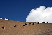 bhutan_hladanie_stastia_120_jpg