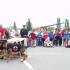 497404_3.9.2006-Záchranářský pes našel v &#34;troskách&#34; člověka, který potřebuje pomoc