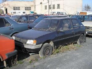 c_124_peugeot_205_cerna_jpg