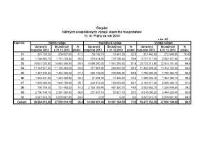 Běžné výdaje DZ II