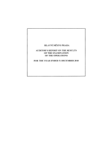 Auditor´s Report 2010