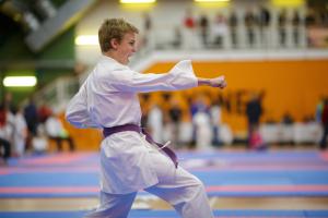 MCR_karate_2016_Kozak_24