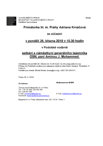 Setkání s náměstkyní generálního tajemníka OSN, paní Aminou J. Mohammed