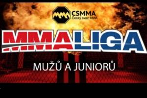 WORLD_MMA_CUP_2016_300
