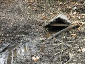 Pražské studánky - Bendovka, 2012 (odkaz do fotogalerie)