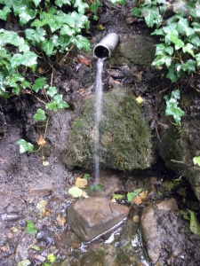 Pražské studánky - Dolní studánka (ilustrační foto, 2012)