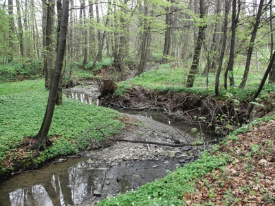 meandry rokytky nad říčanami