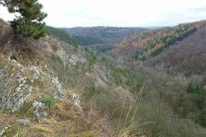 trasa CHUCHLE - KOSOŘ, ilustrační foto (výhled na Černé rokle)