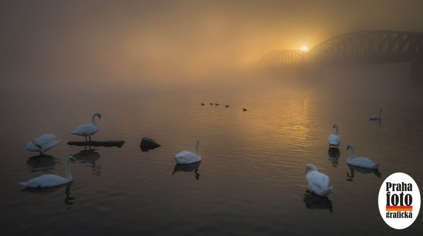 Praha fotografická