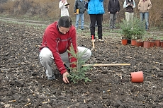 Radní Petr Štěpánek sází první stromek lesoparku Letňany 